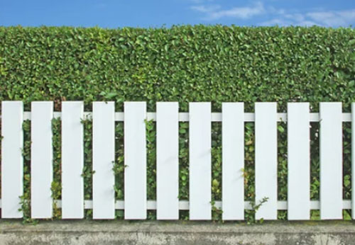 Des conseils pour choisir votre clôture à barreaudage