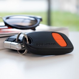 Télécommande 2 canaux pour porte de garage et portail SENTINEL SCS