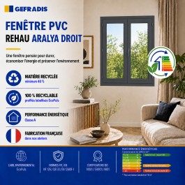 Fenêtre PVC 2 vantaux H 125 x L 90 cm OB anthracite avec poignée