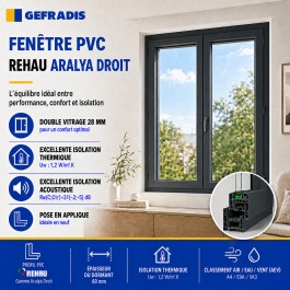 Fenêtre PVC 2 vantaux H 125 x L 90 cm OB anthracite avec poignée