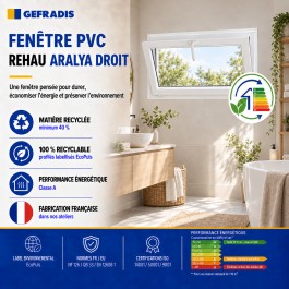 Fenêtre PVC abattant H 45 x L 60 cm avec poignée