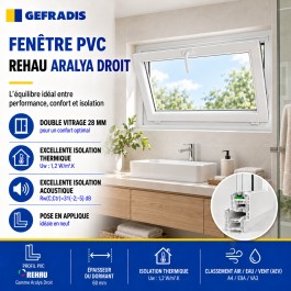 Fenêtre PVC abattant H 60 x L 120 cm avec poignée