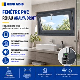 Fenêtre PVC abattant H 45 x L 90 cm anthracite avec poignée