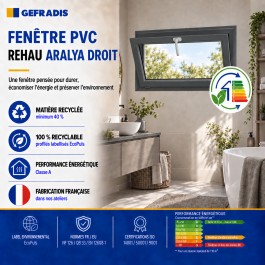 Fenêtre PVC abattant H 45 x L 120 cm anthracite avec poignée