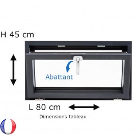 Fenêtre PVC abattant H 45 x L 80 cm anthracite avec poignée